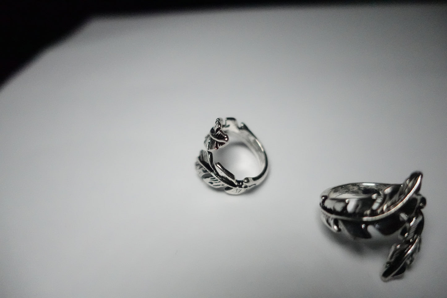 Fallen feather ring