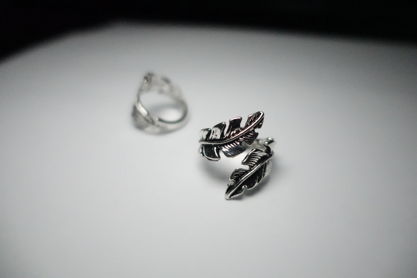 Fallen feather ring